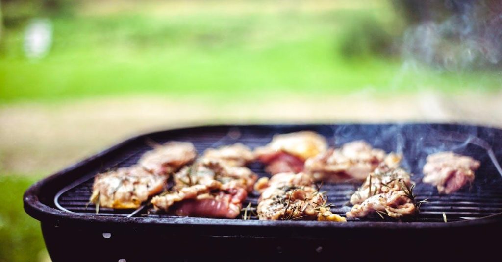 Vælg den bedste Weber kulgrill til dine behov