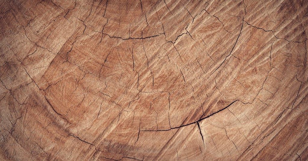 Træterrasser: Fra idé til virkelighed – Forbered dig på terrassesæsonen